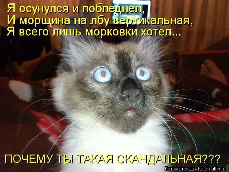 А вот и я приехал