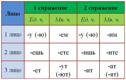 Просклонять по лицам глаголы