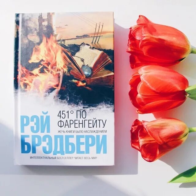 Краткое содержание книги 451 градус