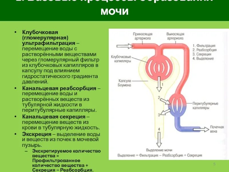 Выделение осуществляется через