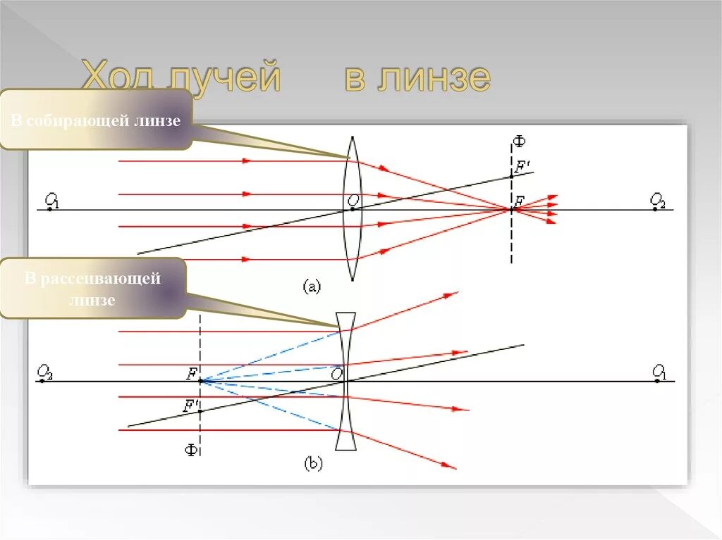 Ход лучей в собирающей и рассеивающей линзах. Ход лучей в рассеивающей линзе линзе. Ход лучей через рассеивающую линзу схема. Оптика ход лучей в линзах.