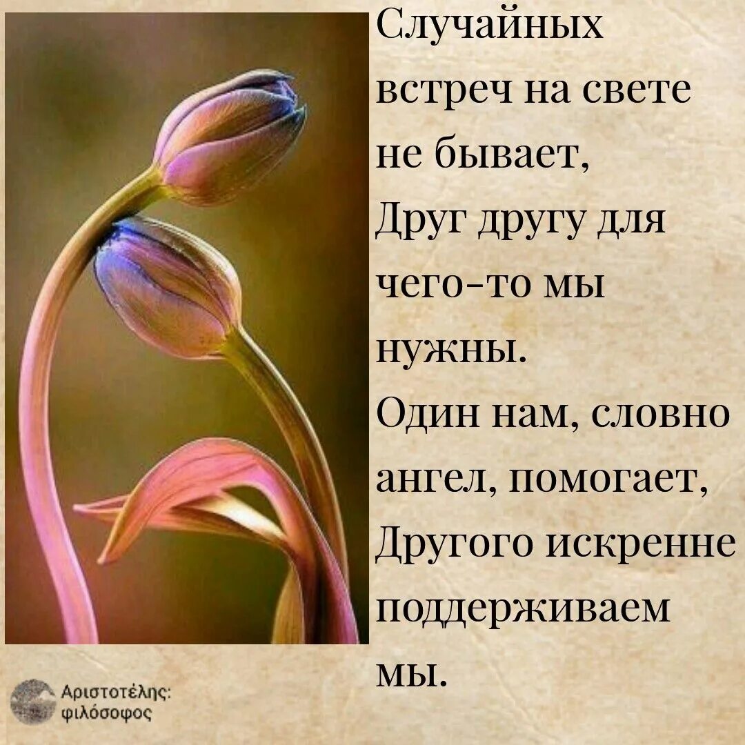 Афоризмы случайные встречи. Встречи не случайны цитаты. Случайная встреча цитаты. Случайных встреч не бывает цитаты. Встречи не случайны цитаты.