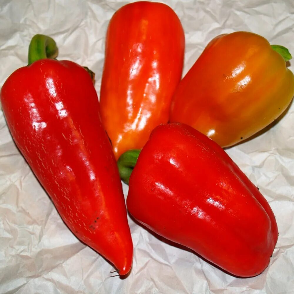 Перец боярин. Сорта перца сладкого толстостенного для открытого грунта. Лучшие сорта болгарского перца для открытого грунта. Сорт перца ливадия. Сладкий перец сорта хасбулат.