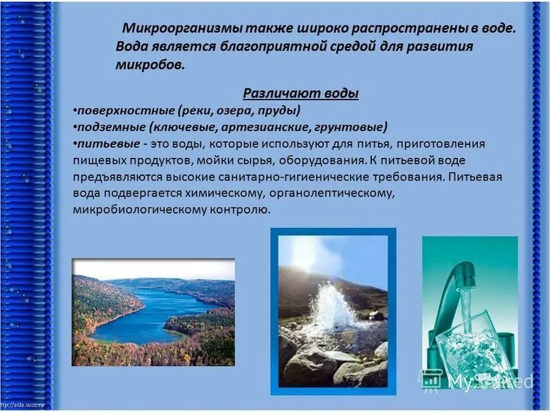 Патогенная микрофлора воздуха. Для ботулизма характерна сезонность. Критерии благоприятной окружающей среды. Право на благоприятну. Благоприятная среда для микроорганизмов.