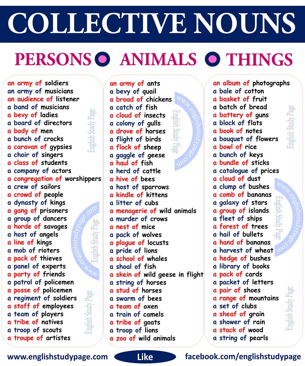 Collective nouns. Collective nouns is. Common collective nouns. Collective nouns. Collective nouns список.