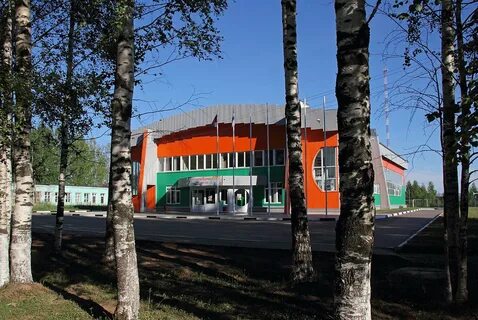Кумены