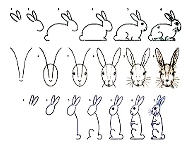 Зайчик варианты. Рисование зайца. Поэтапное рисование зайца. Заяц рисунок для детей карандашом. Рисование зайца в старшей группе.