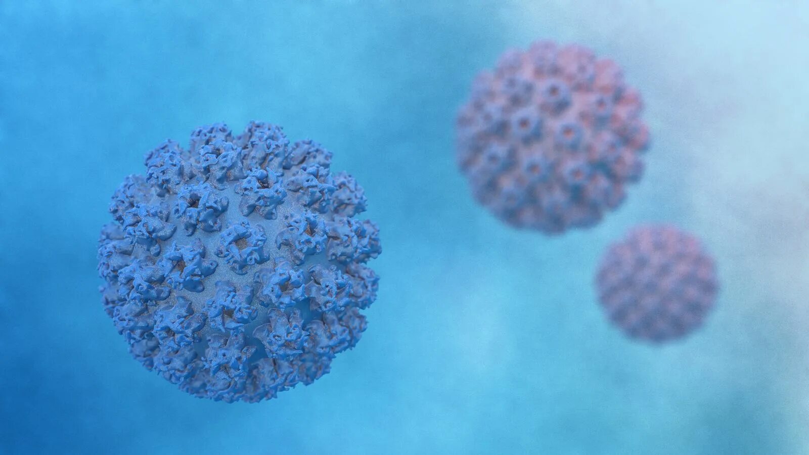 Впч картинки. Ремикс это впч 2 цунами. Впч картинки. Папилломавирус инфекция. Впч картинки.