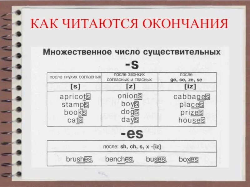 Удача множественное число. Множественные числа сущ правила в английском. Правила формирования множественного числа в английском. Правила правописания множественного числа в английском языке. Окончание множественного числа в английском языке правило.