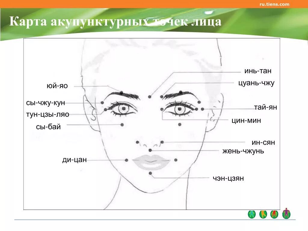 Лицо названное по действию. Цуань Чжу точка на лице. Ин Сян точка акупунктуры. Точки акупунктуры на лице. Активные точки на лице схема.