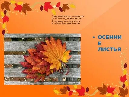Каких деревьев осыпается