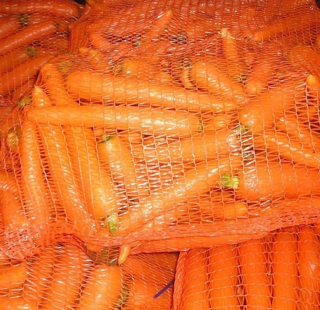 Купить морковь оптом. Желтая морковь. Морковь очищенная. Узбекская желтая морковка. Семена желтой моркови.