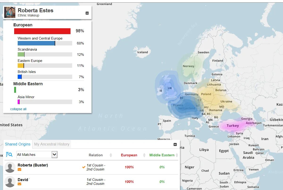 Днк тест на происхождение рода. ДНК тест. DNA Test Nationality. Анализ на Национальность. Как выглядит тест ДНК на Национальность.