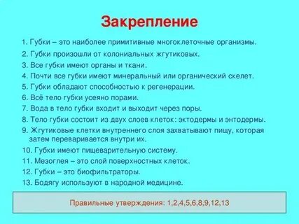 Общая характеристика класса это