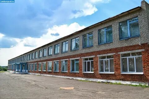 Селезни тамбовская