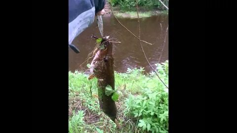 Рыбалка на реке вьюнка