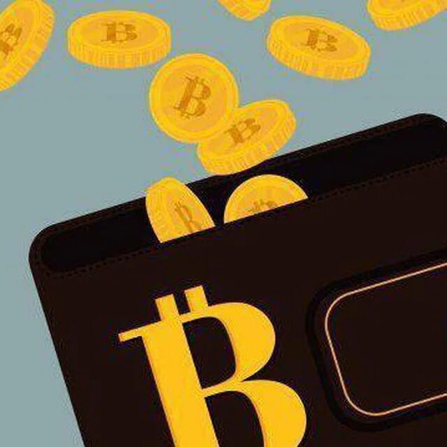 Проверить кошелек криптовалюты. Биткоин кошелек 2011 года.