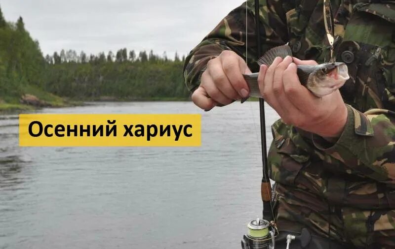 Форум рыболовного клуба "МАЯК" * Просмотр темы - р.Кабырза (правый приток р.Мрас