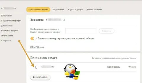 Билайн подключить номер телефона