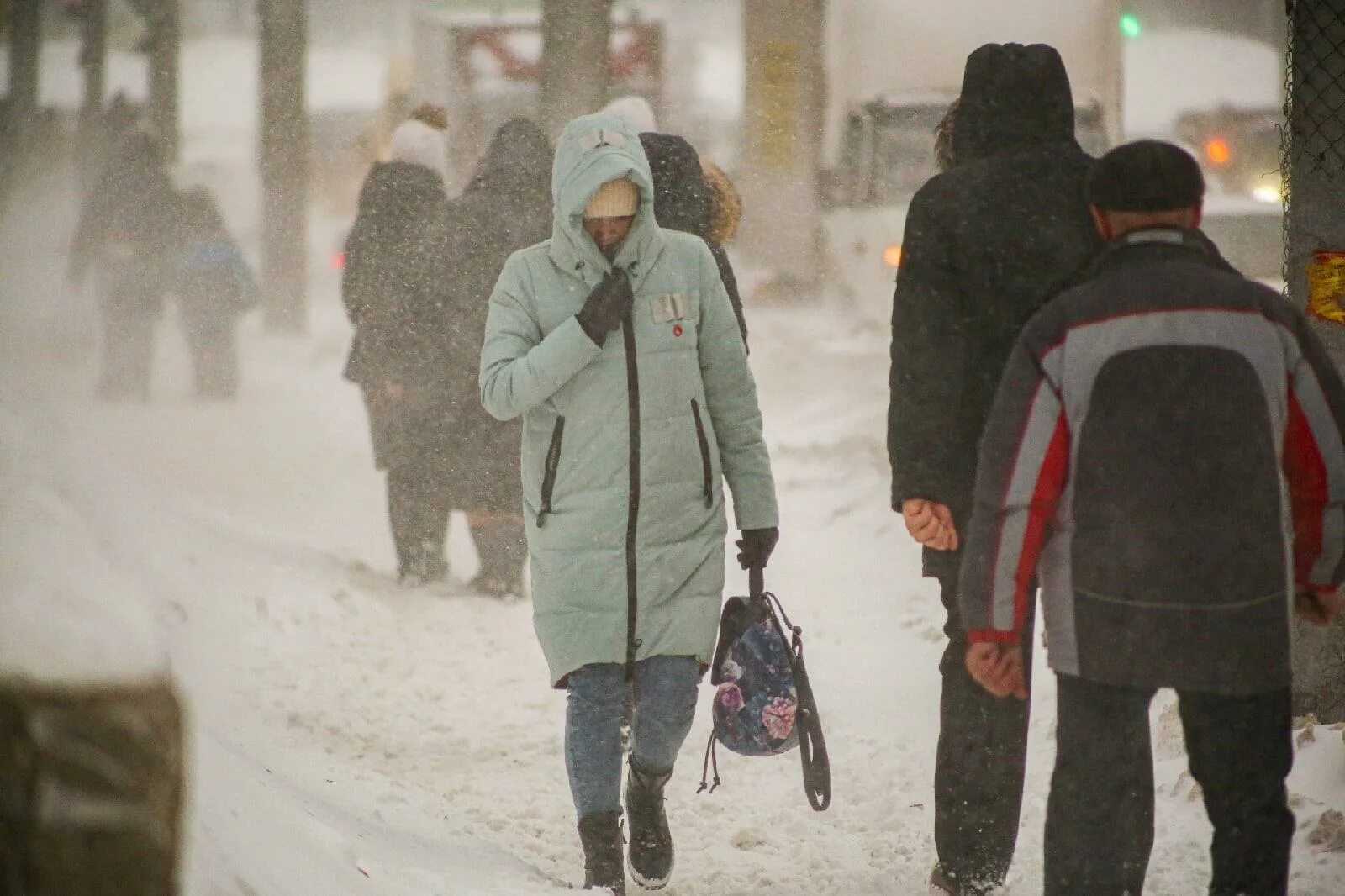 Все живое накрыло морозом. Сильный Мороз. Ожидается похолодание. Резкое похолодание. Похолодание в Новосибирске.