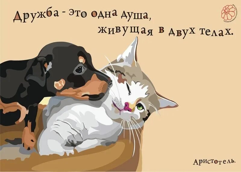 Друг это одна душа живущая в двух телах. Друг это одна душа живущая. Высказывания о дружбе. Друг это душа живущая в двух телах аристотель. Друг это одна душа.