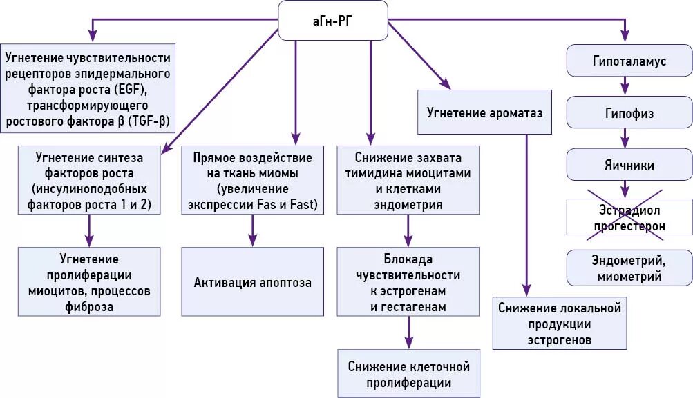 Миома матки гиперплазия эндометрия. Патогенез миомы матки схема. Гормональная терапия миомы матки. Миома матки этиология и патогенез. Агонистов гонадотропин-рилизинг-гормона (АГН-РГ).