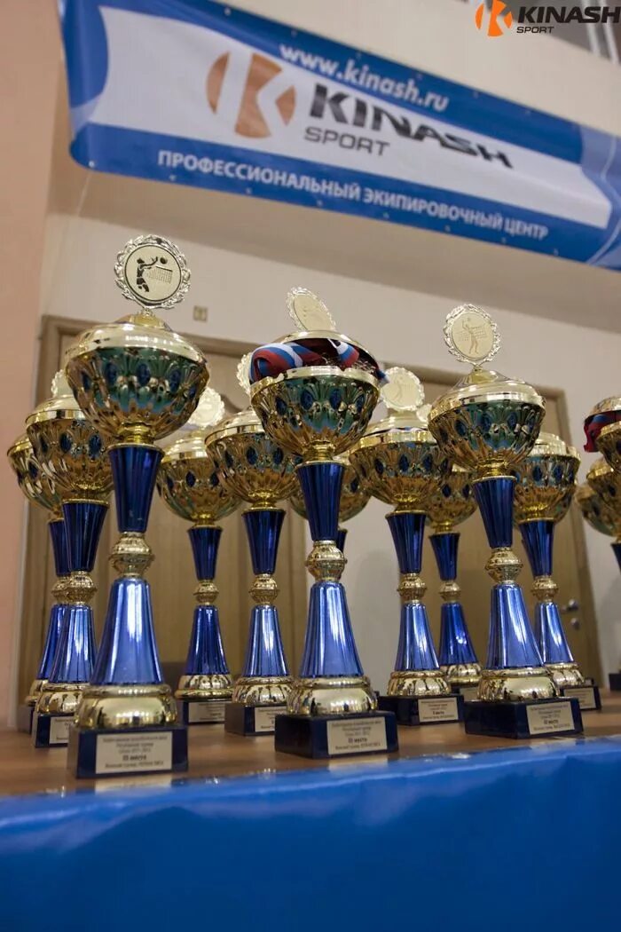 Дубровка кинаш спорт. Кинаш москва. Мегаспорт кинаш. Кинаш спорт москва. Кинаш спорт волейбольный счетчик.