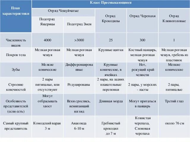 Заполните таблицу рептилии. Класс пресмыкающиеся отряд чешуйчатые таблица. Общая характеристика класса пресмыкающиеся 7 класс таблица. Пресмыкающиеся таблица 7 класс характеристика. Таблица отряд чешуйчатые черепахи крокодилы.