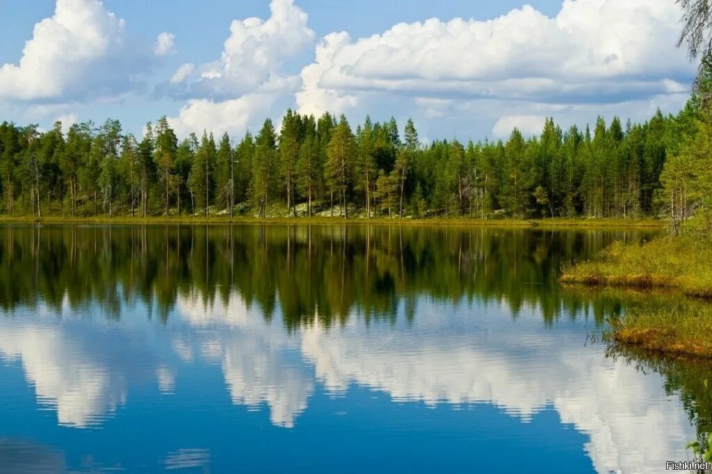 Рек озер городов твоего. Голубое озеро Карелия. Природа России Карелия. Голубые озера Петрозаводск. Река озеро Ухта Карелия.