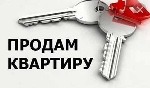 Объявление продам 1 комнатную квартиру