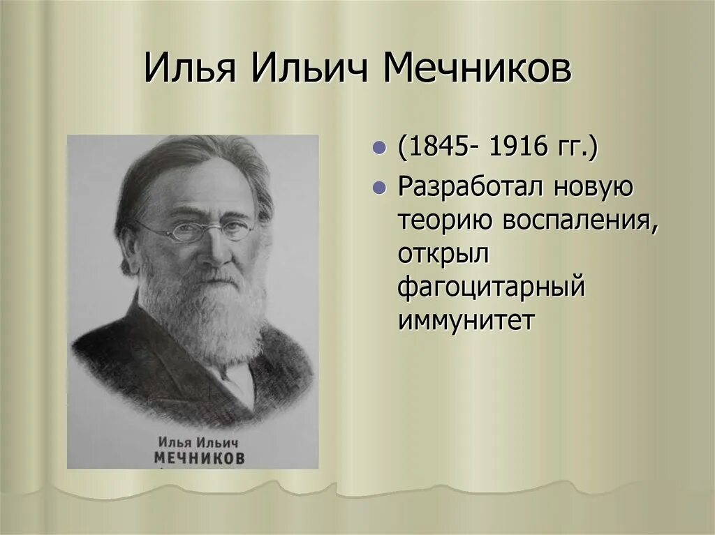 (1845-1916). Теория л мечникова. Теория л мечникова. Теория л мечникова. Мечникова.