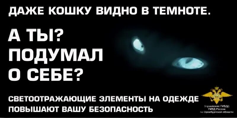 Плохо вижу ночью. Светоотражатели за городом в темноте. Плохо вижу в темноте. Кошка глаза особенности в темноте светоотражатели. Как кошки видят в темноте фото.