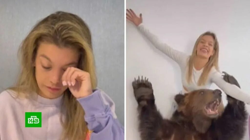 Блогерша решила хайпануть полное видео. Блогерша с медведем. маша без медведя блогерша.
