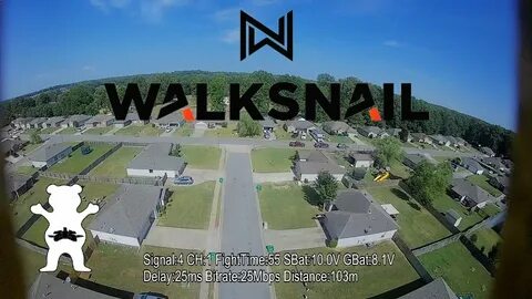 Walksnail avatar