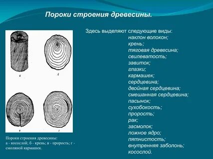 Пороки 5 букв
