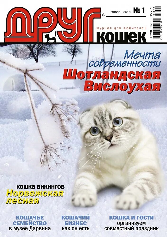 Сайт журнала друг. Журнал про кошек. Журнал друг. Кошачий журнал. Кошечка журнал кошечка журнал.