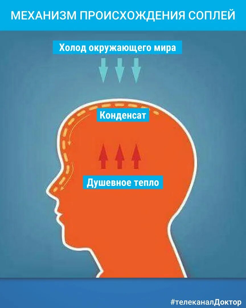 Почему берутся сопли. Почему берутся сопли. Почему появляются сопли. Желтая слизь из носа при наклоне. Механизм происхождения соплей.