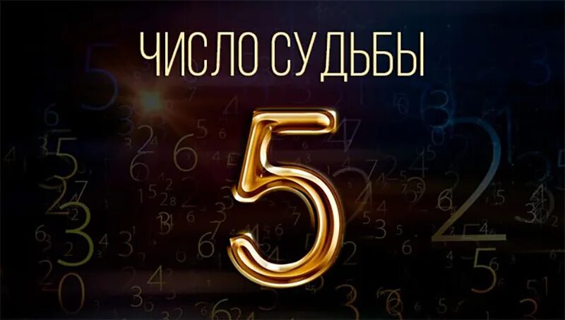 Жизненное число 3