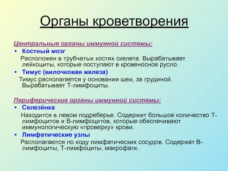 Центральные органы кроветворения. Органы кроветворения и иммунной системы. Классификация органов кроветворения. Периферические органы кроветворения и иммунной защиты. Органы кроветворения иммунной