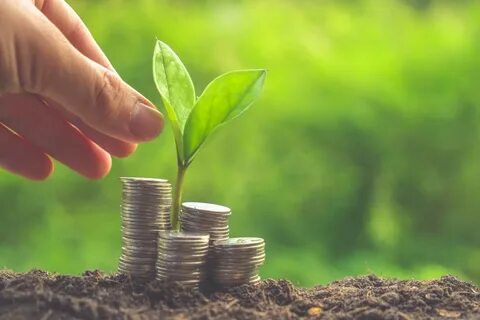 Financial environment