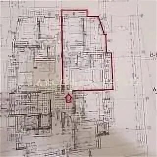 Горные лыжи head igs rd. 5565059. 5565059. 5565059. 5565059.