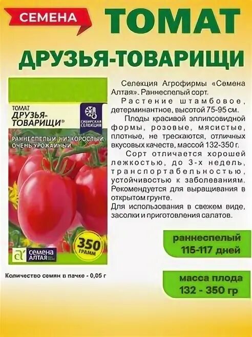 Лоджейн f1 томат. Томат шурочка отзывы. Томат йетина. Помидоры йетина мать описание. Томат шурочка отзывы.