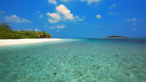 Вода карибского моря