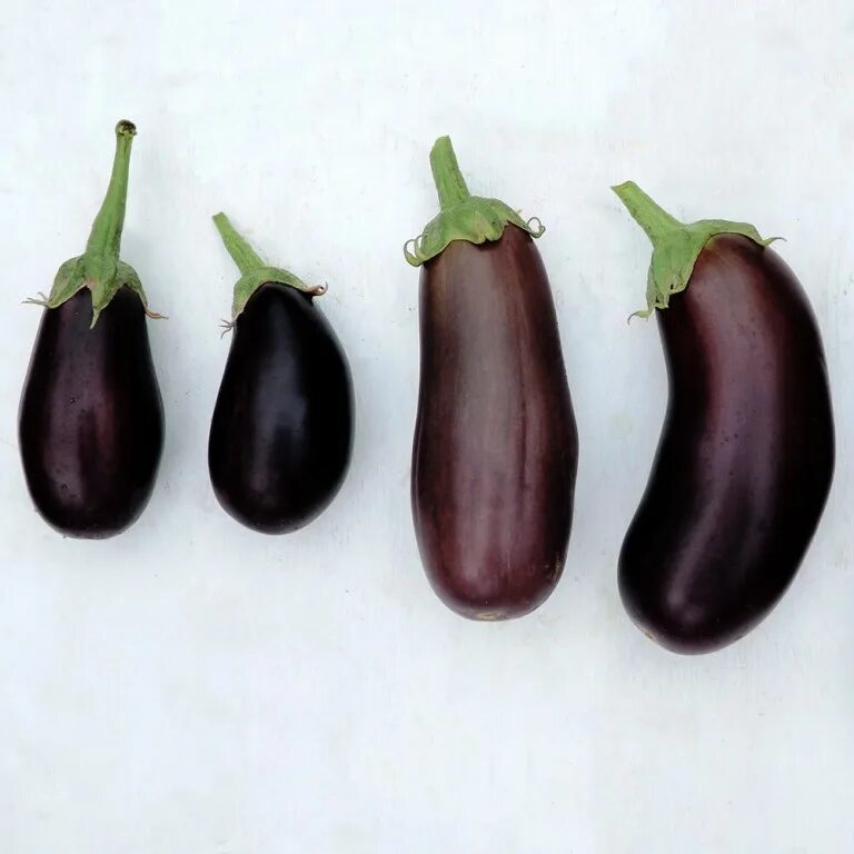 Баклажан марципан f1. Long brinjal. Огромный баклажан. Баклажан блэк перл f1. Баклажан классик f1.