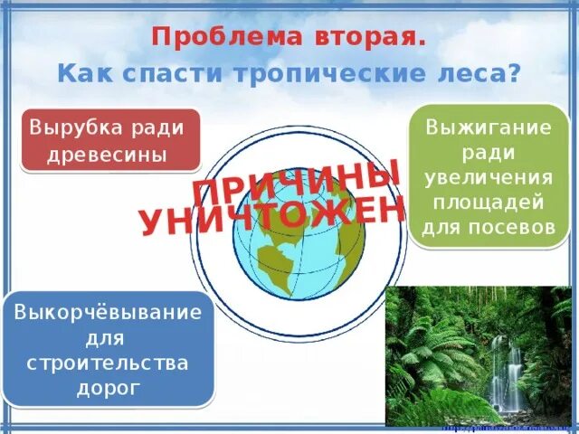 Спасем тропические леса. Что надо для спасения тропических лесов. Как спасти тропические леса. Презентация по окружающему миру 4 класс. Как спасти мир тест 7