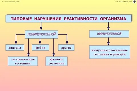 Что такое реактивность организма