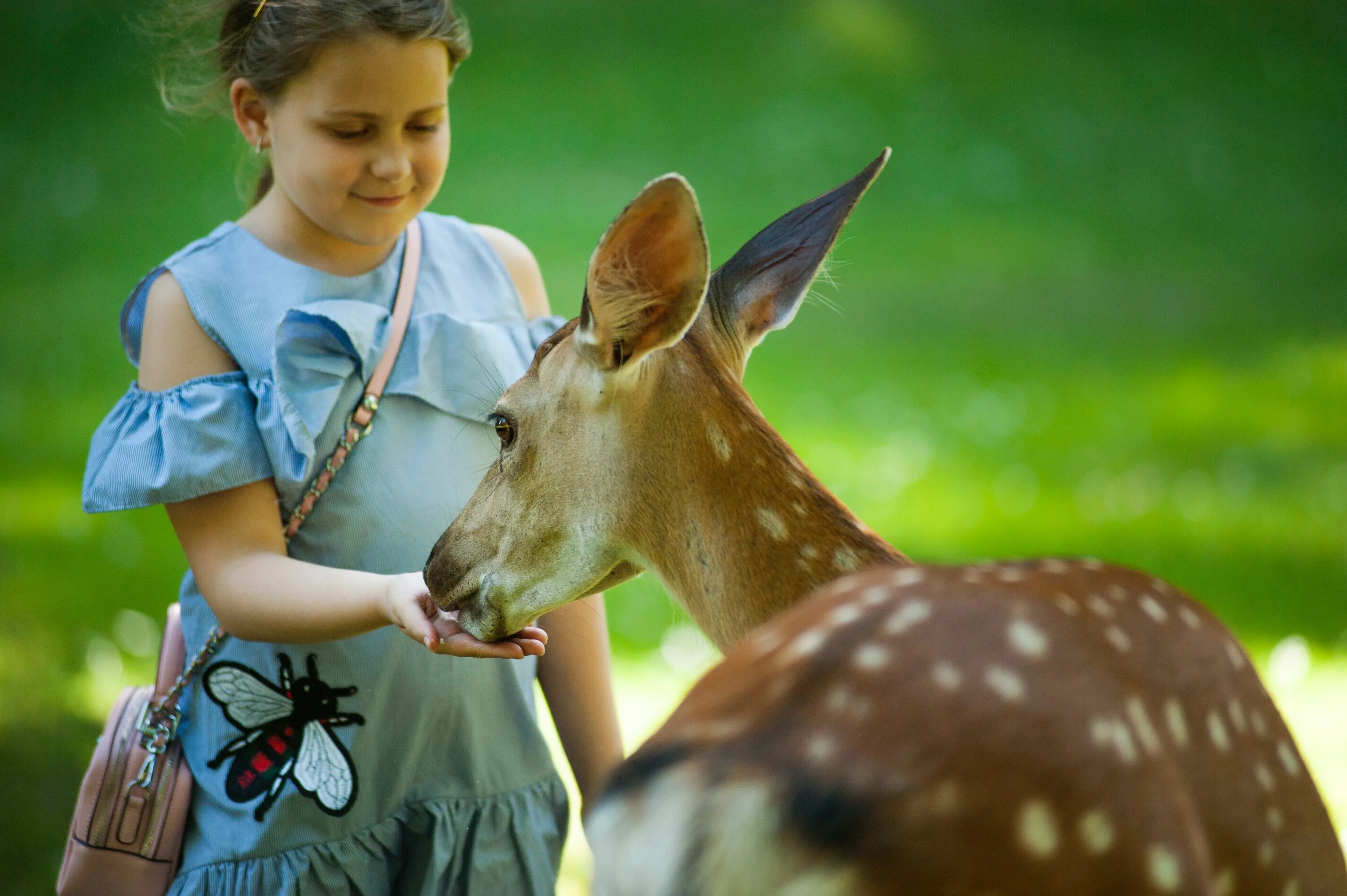 People and wildlife. Забота о животных. Дети с животными. Дети с дикими животными. Для детей. Животные.