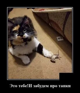 Про предыдущую