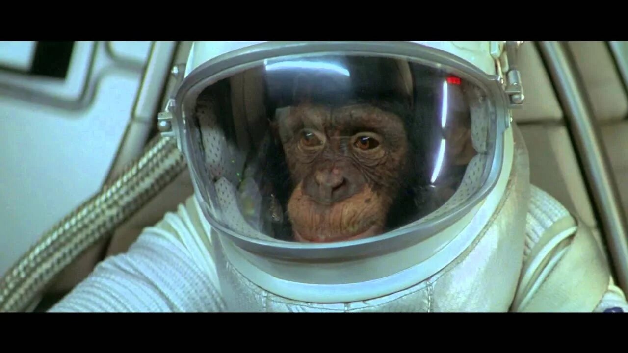 Обезьяна полетела в космос. Шимпанзе Хэм космонавт. Планета обезьян в космосе. Планета обезьян мартышка космонавт.