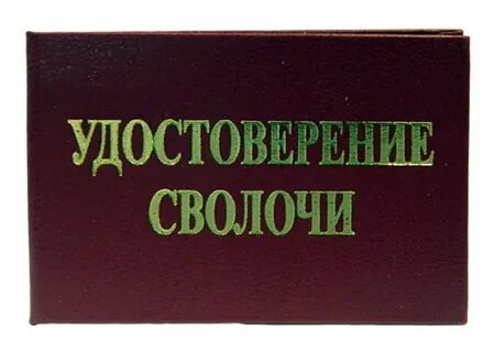 Почему сволочи